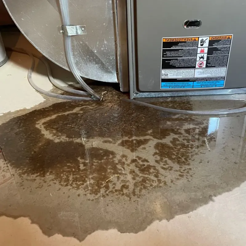 Pipe Burst and Leak Restoration in Fern Creek, KY